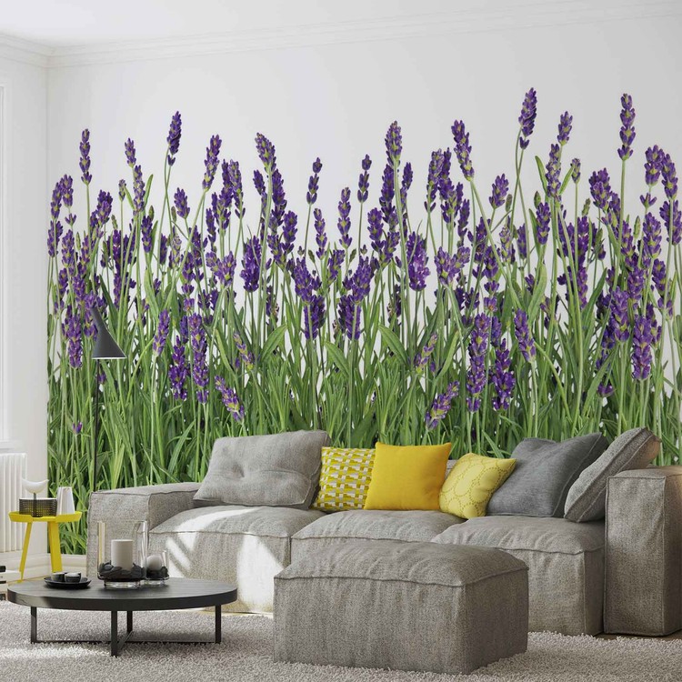 Flowers Lavender Wall Paper Mural Buy at EuroPosters
