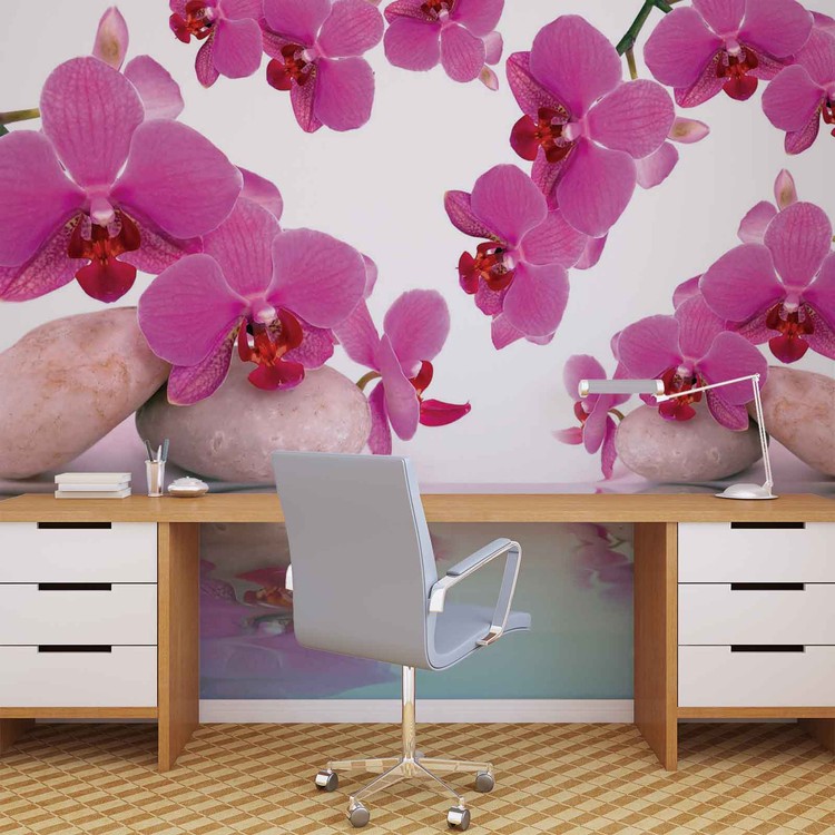 Flowers Orchids Wall Paper Mural Buy At Europosters