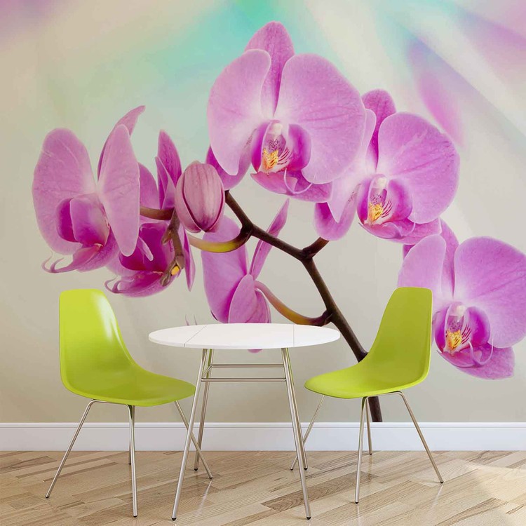 Flowers Orchids Wallpaper Mural