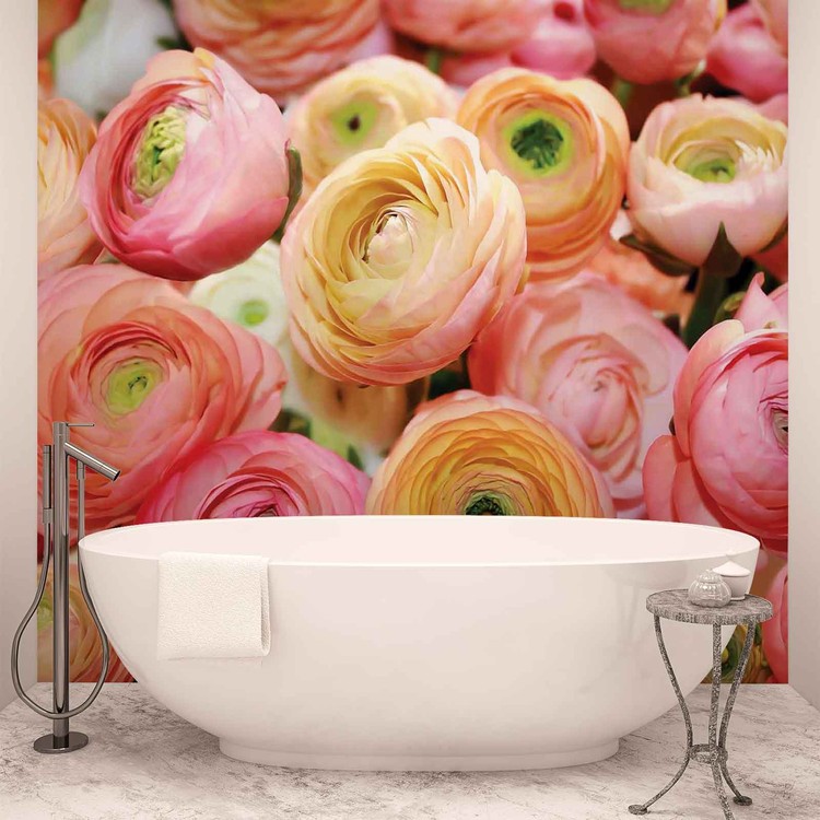 Flowers Peonies Colours Wallpaper Mural