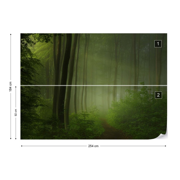 The Morning Forest   Wall Mural Photo Wallpaper GIANT WALL DECOR Paper Poster