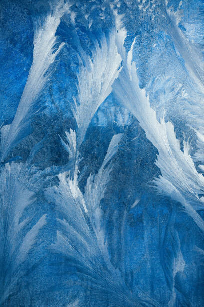 Ταπετσαρία Frosty pattern on transparent background. Background