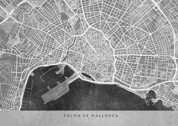 Wallpaper Mural Gray vintage map of Palma de Mallorca
