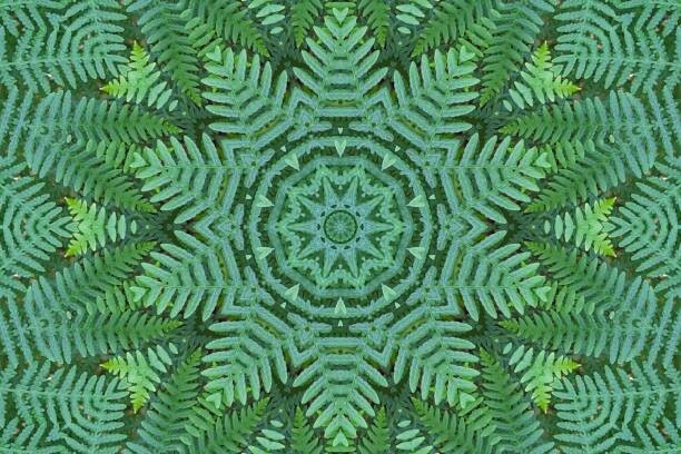 Ταπετσαρία Green Ferns Pattern