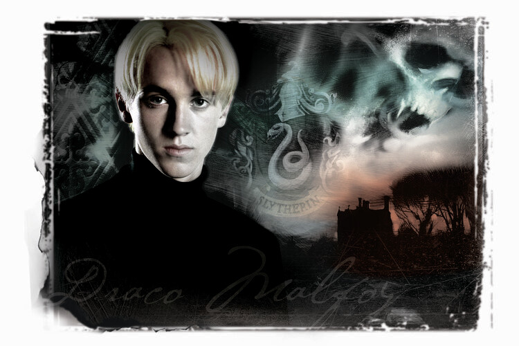 Harry Potter - Draco Malfoy Wall Mural