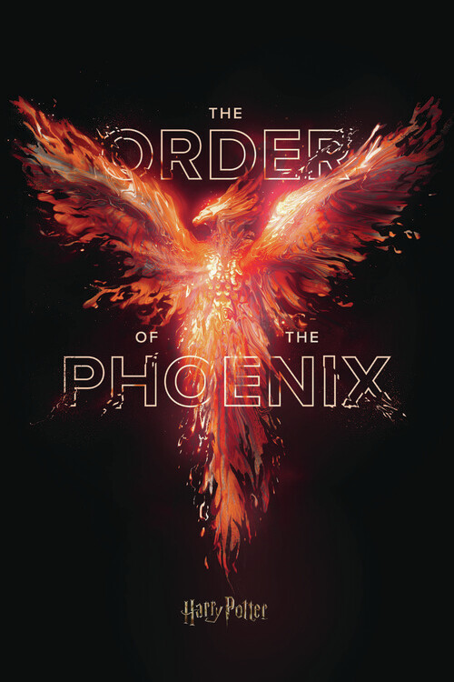 Wallpaper Mural Harry Potter - Order of the Phoenix
