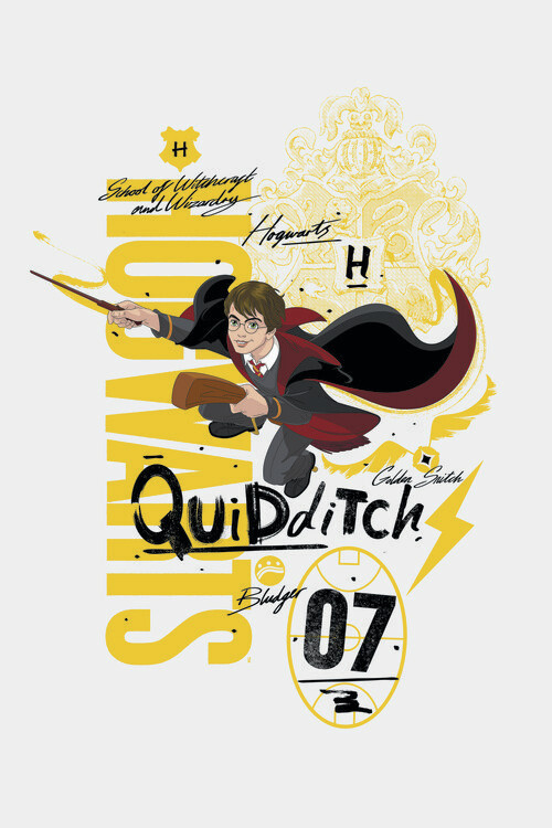 Wallpaper Mural Harry Potter - Quidditch 07