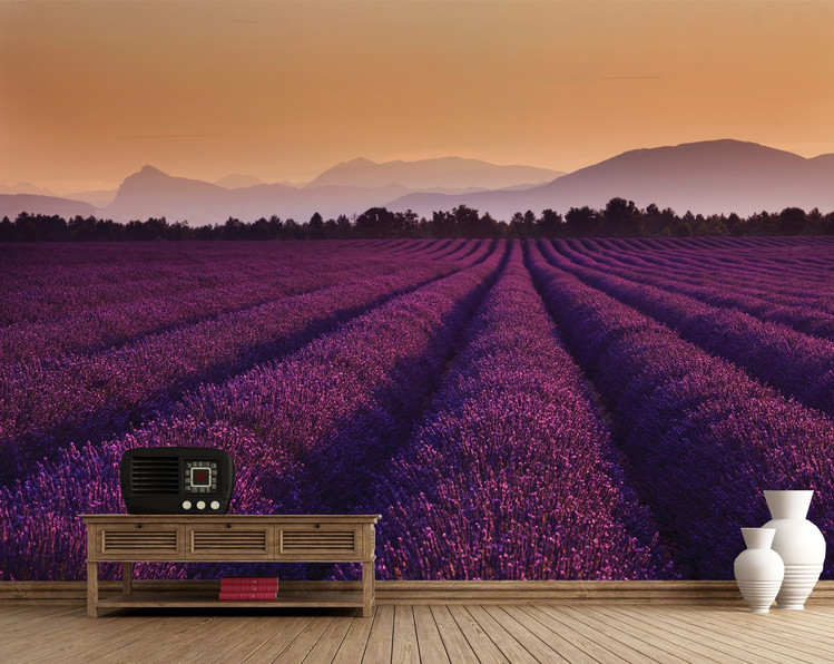 Lavender - Lavender Fields Wallpaper Mural