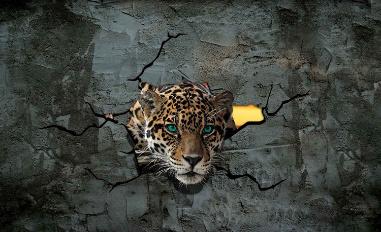 Leopard 3D Wallpaper Mural