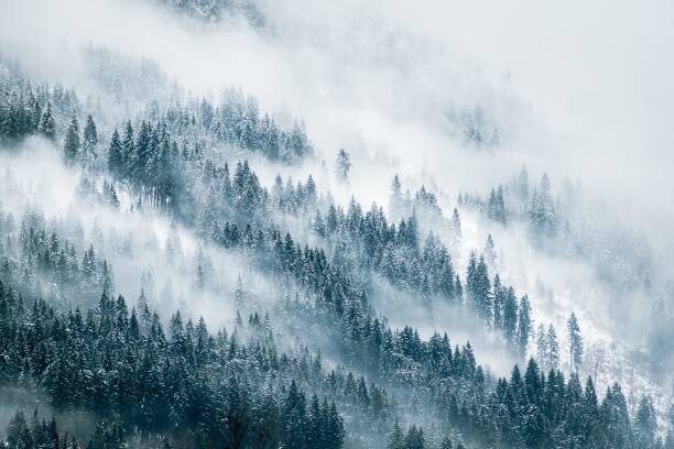 Wall Mural Misty Mountains