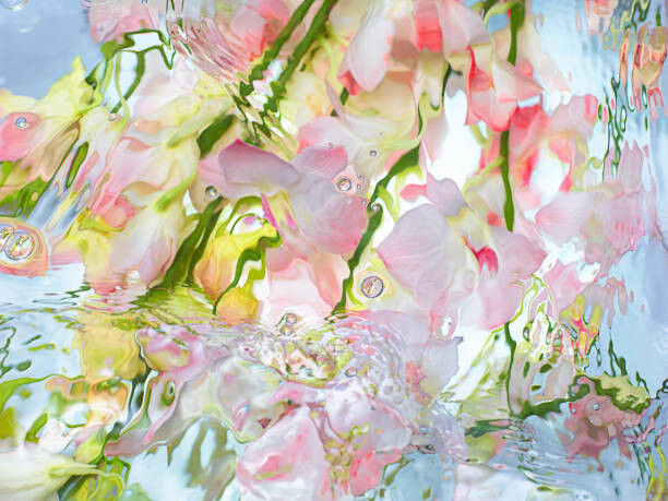 Ταπετσαρία Orchid under warter