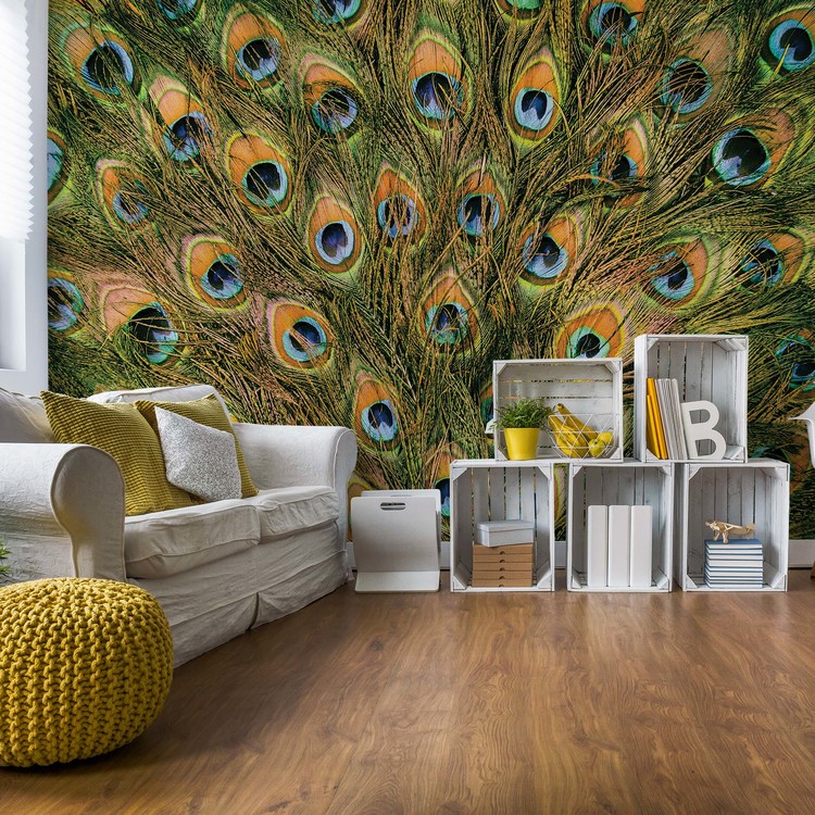 Peacock Feathers Wallpaper Mural