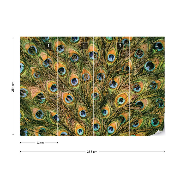 Peacock Feathers Wallpaper Mural