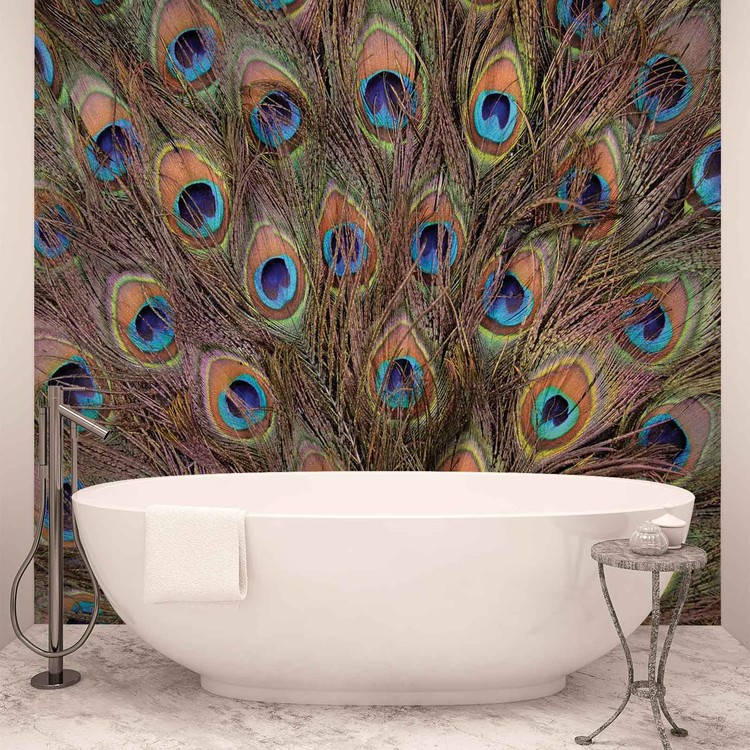 Peacock Feather Wallpaper Mural