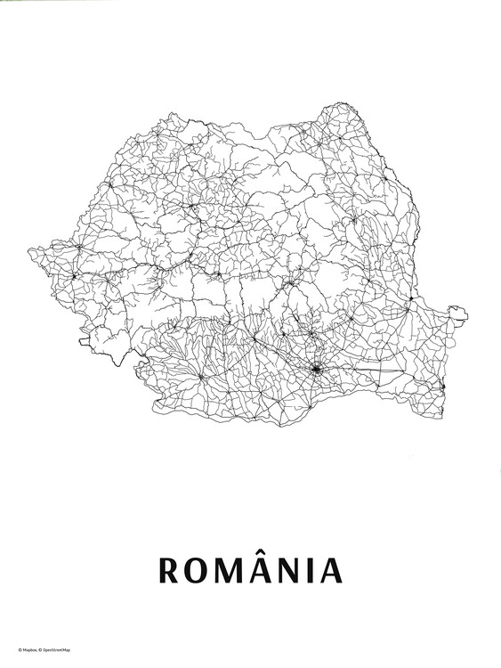 Wall Mural România black & white
