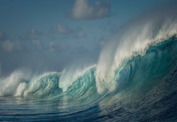 Salt water thesis picture