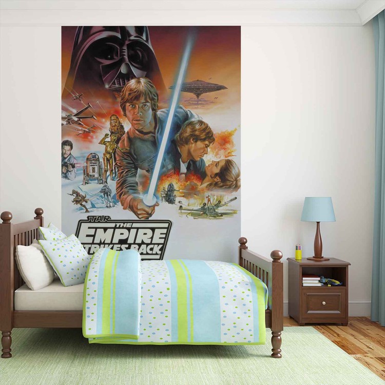 Star Wars Empire Strikes Back Wallpaper Mural