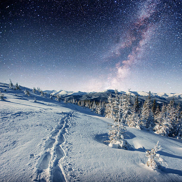Wall Mural starry sky in winter snowy night.