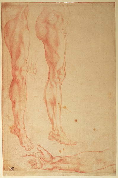 Wallpaper Mural Studies of Legs and Arms