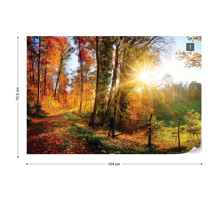 Sunrise In Autumn Forest Wall Paper Mural Buy At Europosters