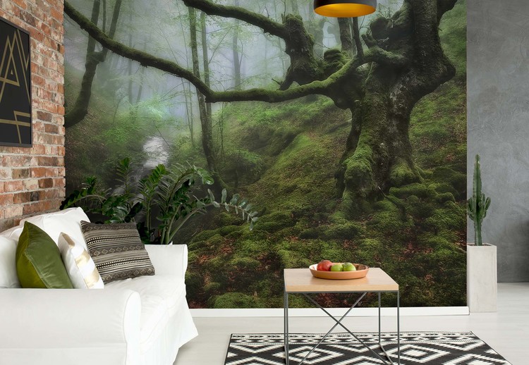 The Enchanted Forest Wallpaper Mural