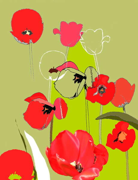 Red Tulips Wall Mural  Buy online at Europosters