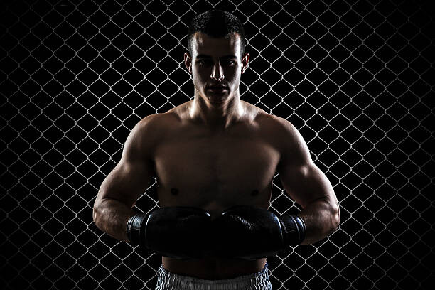 Wall Mural Ultimate fighter