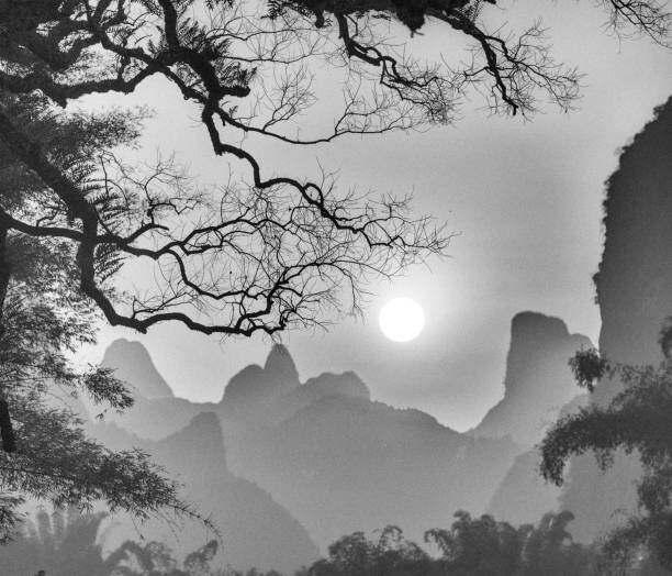Фототапет withered tree and mountain