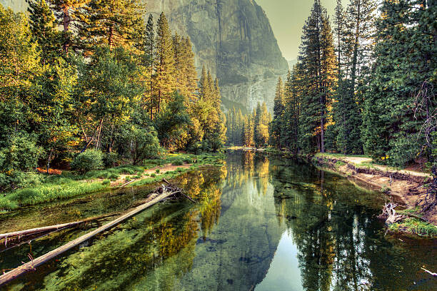 Фототапет Yosemite Valley Landscape and River, California
