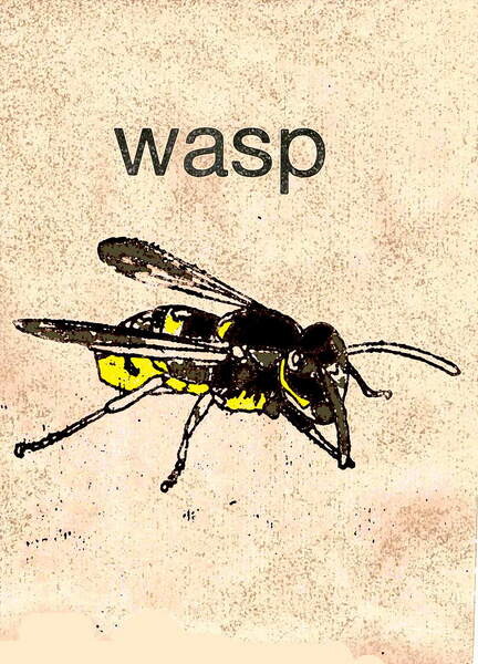 Naljepnica 'Wasp' 2014