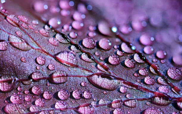 Μπλουζάκι water drops