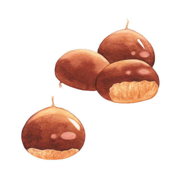 Autocolante Watercolor Chestnuts