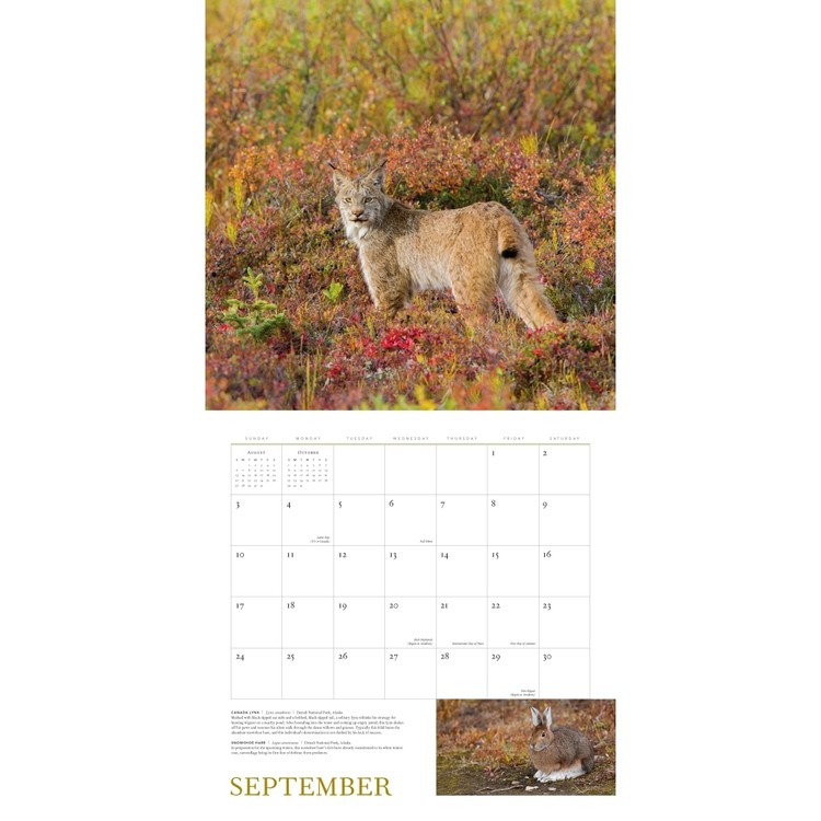 Calendar 2021 Wild Nature