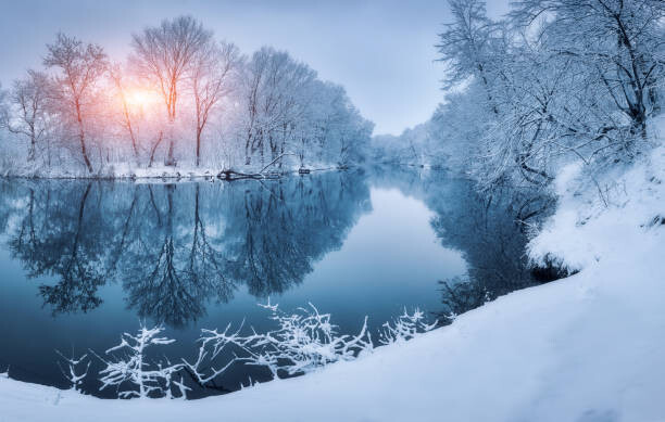 Αυτοκόλλητο Winter forest on the river at