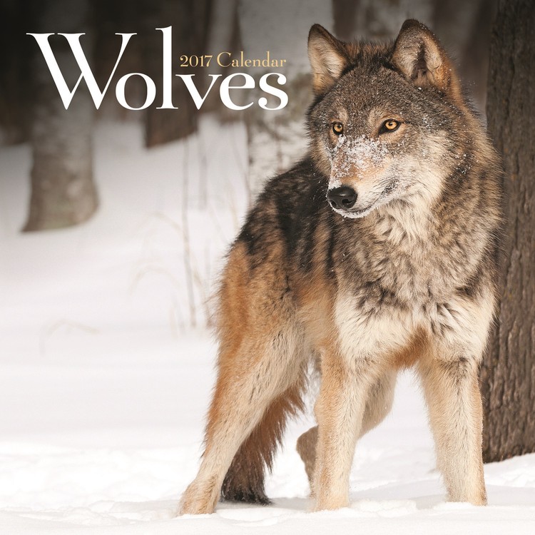 Calendar 2021 Wolves