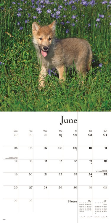 Calendar 2021 Wolves