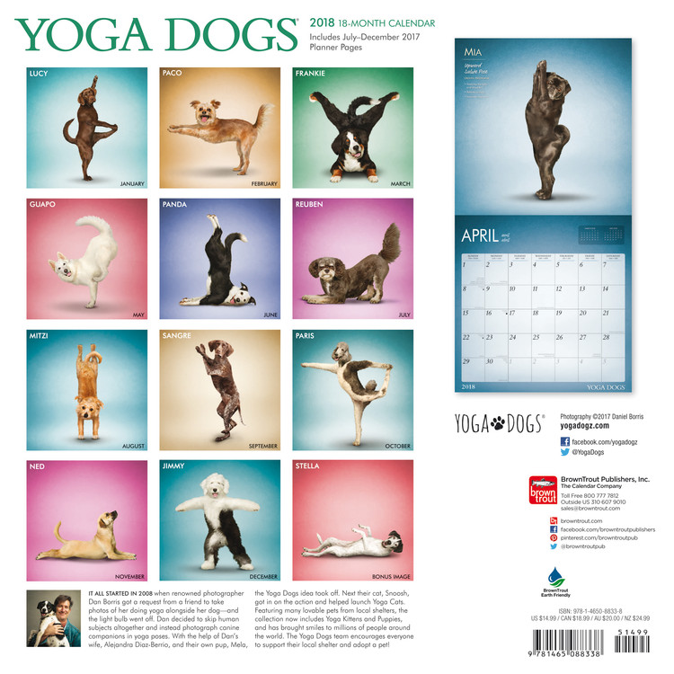 Yoga Dogs Wall Calendars 2022 Large Selection