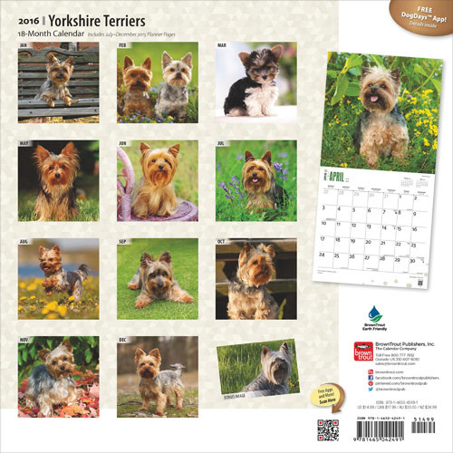 Calendar 2021 Yorkshire Terriers