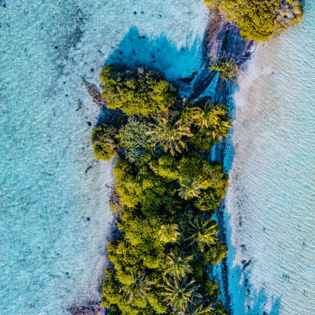 Αφίσα Aerial shot of tropical island, Maldives