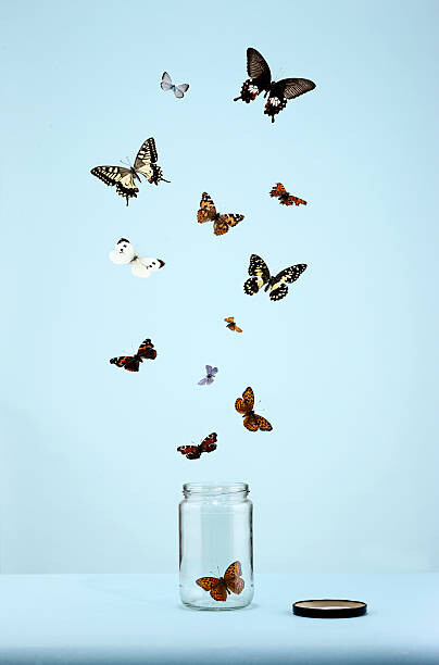 Αφίσα butterflies escaping from jar