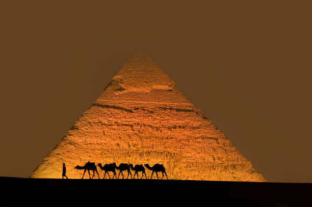 Αφίσα Camel train near pyramids.