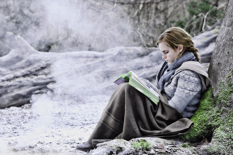 Αφίσα Deathly Hallows - Hermione