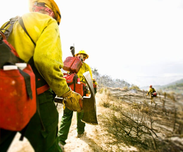 Αφίσα Forest firefighters walking with pickaxes, rear