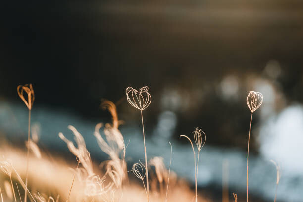 Αφίσα Grass grows in Gold Creek Reservoir