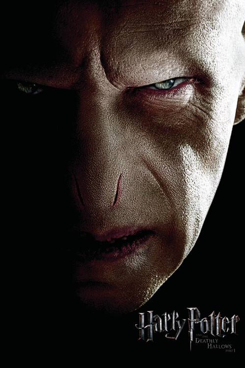 Αφίσα Harry Potter - Voldemort