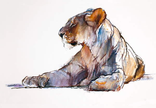 Αφίσα Morning, 2019,