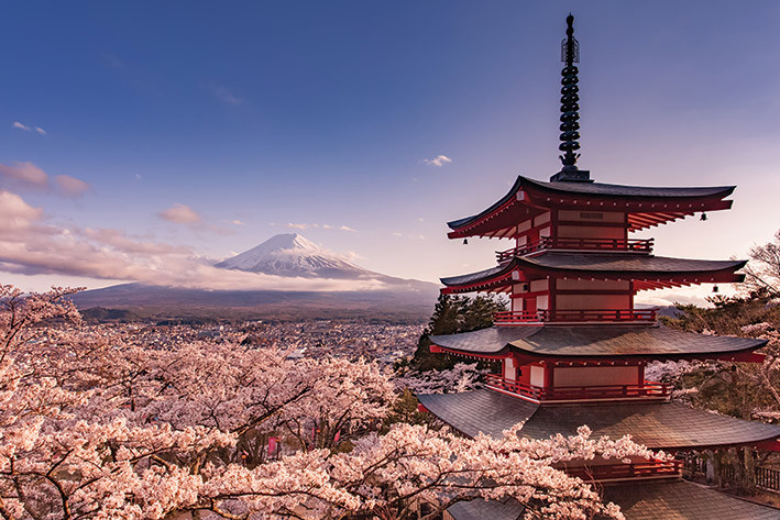 Αφίσα Mount Fuji Blossom