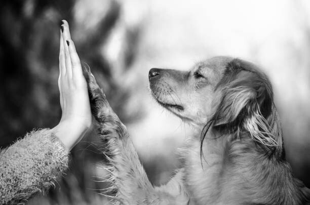 Αφίσα Photo by: Carmen Schwarz / 500px