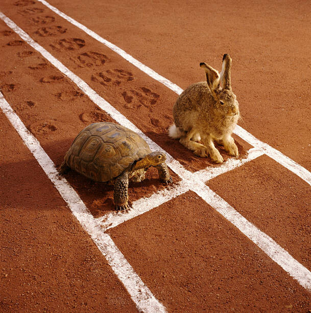 Αφίσα TORTOISE AND HARE ON TRACK