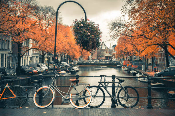 Αφίσα View of canal in Amsterdam during Autumn Season